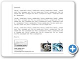 Bubble_Socket_Company_Letter